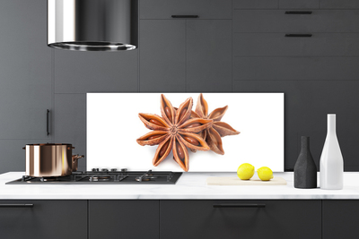 Dekorativno staklo za kuhinju Začin zvjezdasti anis