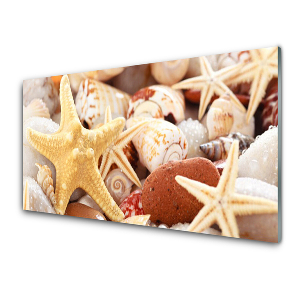 Staklo za kuhinju Plaža Starfish Shells