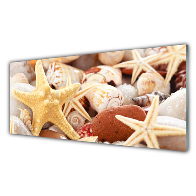 Staklo za kuhinju Plaža Starfish Shells