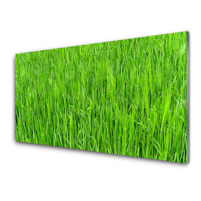 Staklo za kuhinju Green Grass Nature Turf