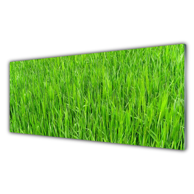 Staklo za kuhinju Green Grass Nature Turf