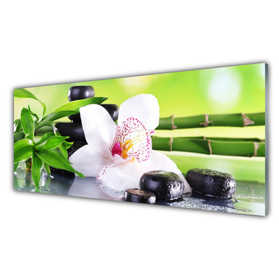 Staklena ploča za kuhinju Lišće bambusa orhideja