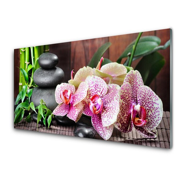 Staklo za kuhinju Bamboo Orchid Spa