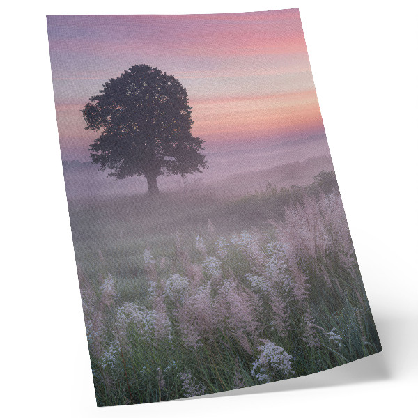 Dekorativni plakat Usamljeno drvo u magli, pastelne boje neba