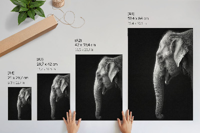 Zidni plakat Monokromatski portret slona u profilu