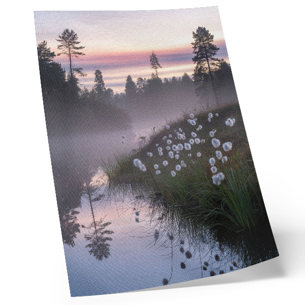 Plakat Tiho jutro uz jezero u magli