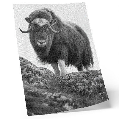 Plakat Crno-bijela životinjska sirova priroda elegancija