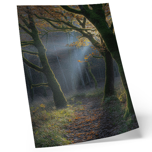 Plakat Čarobna šuma, jesensko svjetlo, mirna atmosfera