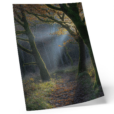 Plakat Čarobna šuma, jesensko svjetlo, mirna atmosfera