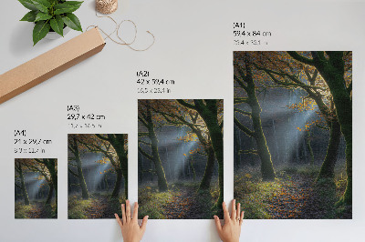 Plakat Čarobna šuma, jesensko svjetlo, mirna atmosfera