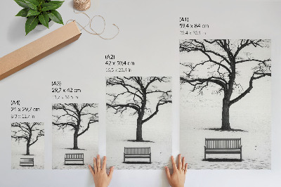 Zidni plakat Minimalistički krajolik s drvetom i klupom