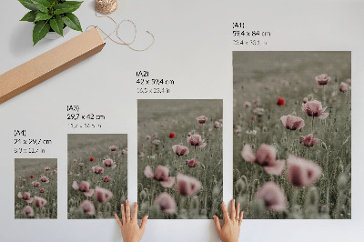 Dekorativni plakat Pastelni makovi romantična atmosfera suptilno cvijeće
