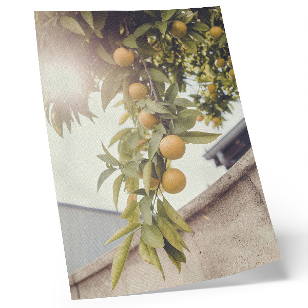 Zidni plakat Grana drveta sunce zeleno lišće narančasto