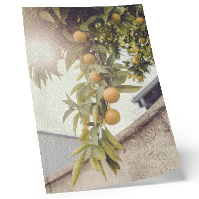Zidni plakat Grana drveta sunce zeleno lišće narančasto