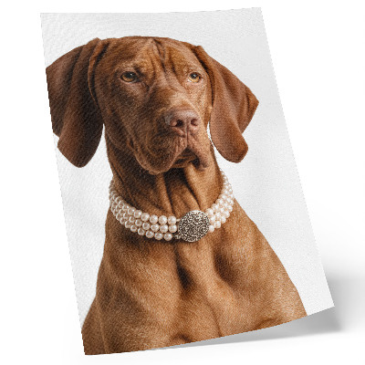 Zidni plakat Elegantna ogrlica za psa s luksuznim završetkom