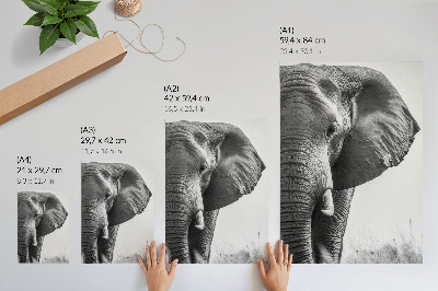 Zidni plakat Monokromatska atmosfera, naborana koža, elegancija