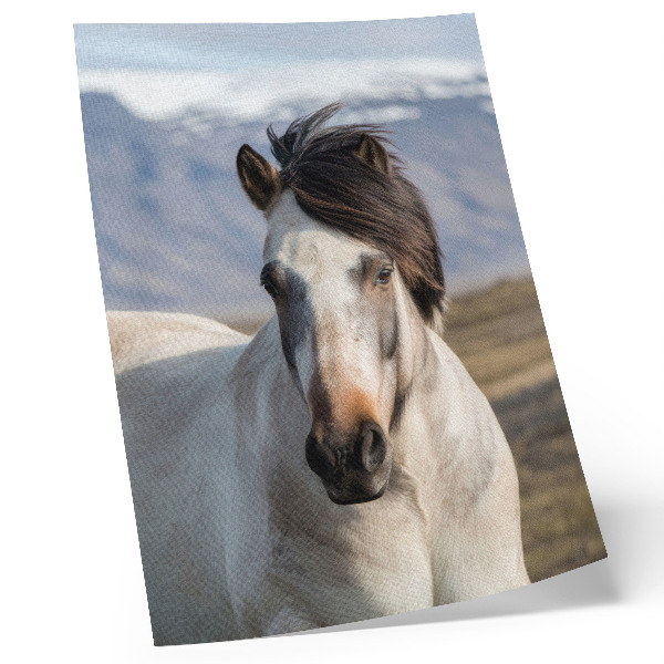 Dekorativni plakat Prirodna ljepota konja na pozadini planina, spokoj, jednostavnost