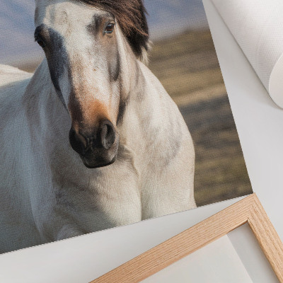 Dekorativni plakat Prirodna ljepota konja na pozadini planina, spokoj, jednostavnost