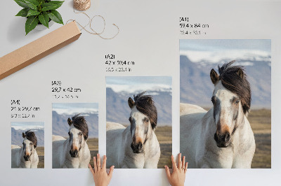 Dekorativni plakat Prirodna ljepota konja na pozadini planina, spokoj, jednostavnost