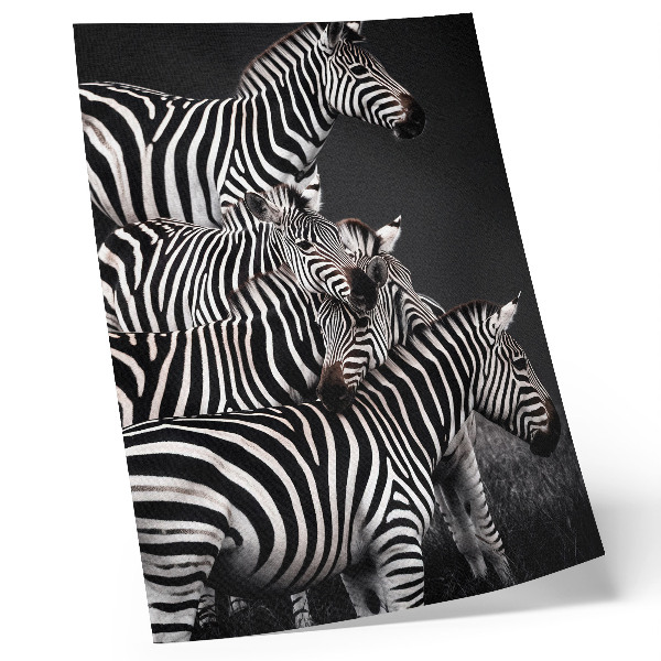 Tisak na platno Zebra kontrastne crno-bijele okomite linije