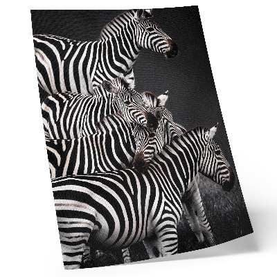 Tisak na platno Zebra kontrastne crno-bijele okomite linije