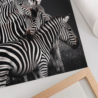 Tisak na platno Zebra kontrastne crno-bijele okomite linije