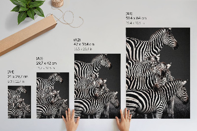 Tisak na platno Zebra kontrastne crno-bijele okomite linije