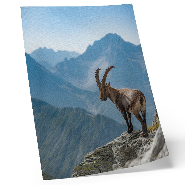 Plakat Jarac na pozadini planina, mirna harmonija prirode