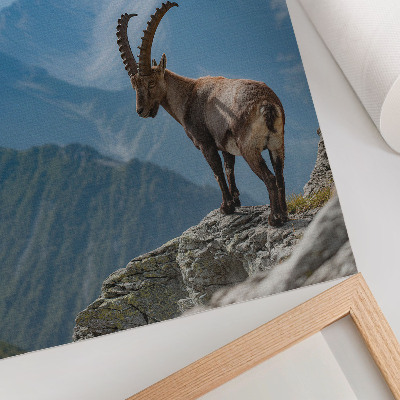 Plakat Jarac na pozadini planina, mirna harmonija prirode