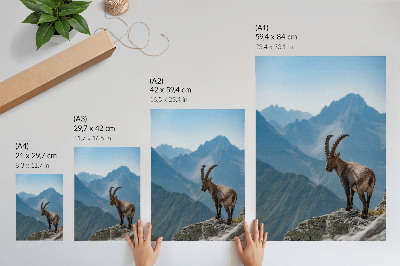 Plakat Jarac na pozadini planina, mirna harmonija prirode