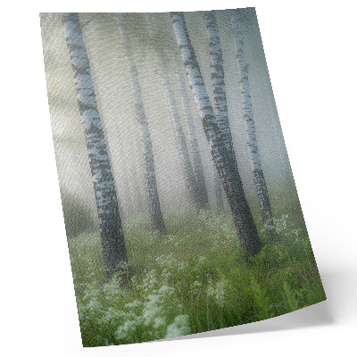 Plakat Breze u magli, bijela kora, zelena trava