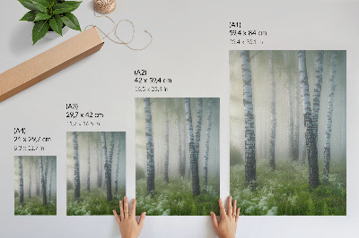 Plakat Breze u magli, bijela kora, zelena trava