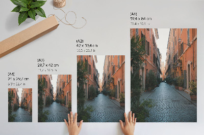 Dekorativni plakat Šarmantna ulica s lončanicama i toplim bojama