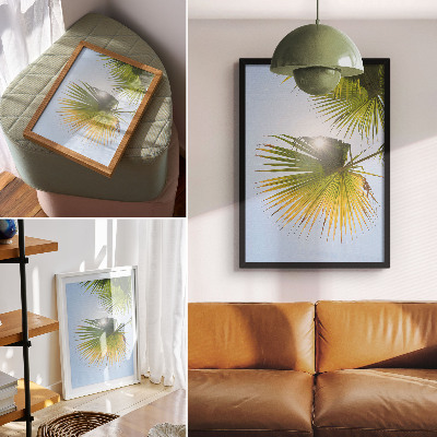 Plakat Palmino lišće plava pozadina sunčeva svjetlost