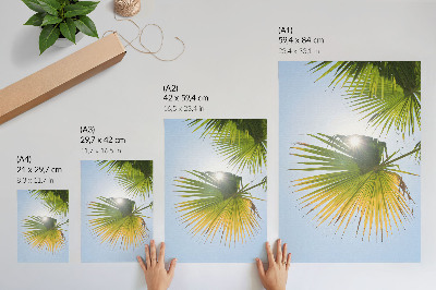 Plakat Palmino lišće plava pozadina sunčeva svjetlost