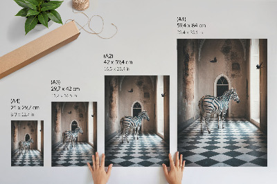 Plakat Zebra na pozadini arhitekture s pticama u letu