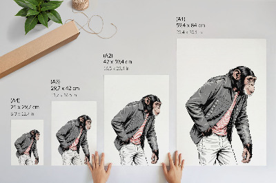Dekorativni plakat Elegantna čimpanza u kontrastnoj grafičkoj jakni