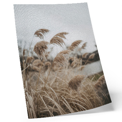 Plakat Nježne vlati trave, smeđe-siva atmosfera prirode