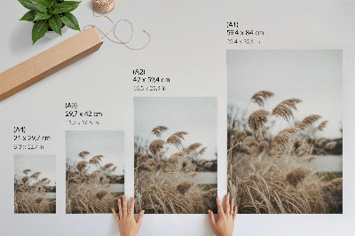 Plakat Nježne vlati trave, smeđe-siva atmosfera prirode