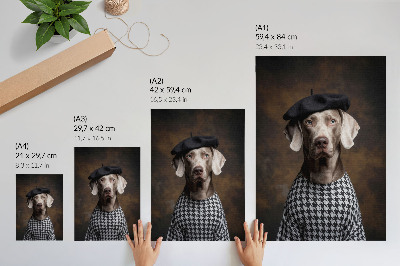 Zidni plakat Pas u prsluku s uzorkom beretke, elegancija