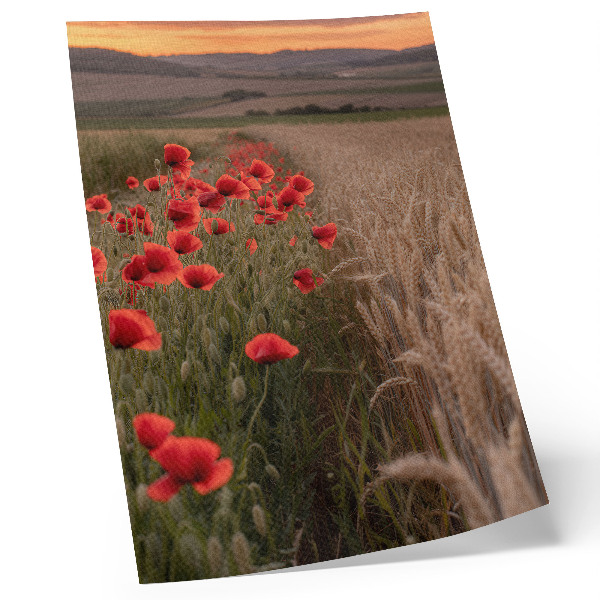 Zidni plakat Makovi zalazak sunca priroda boja harmonija
