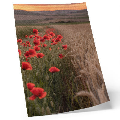 Zidni plakat Makovi zalazak sunca priroda boja harmonija
