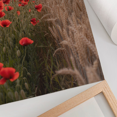 Zidni plakat Makovi zalazak sunca priroda boja harmonija