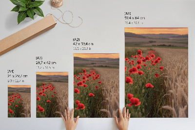 Zidni plakat Makovi zalazak sunca priroda boja harmonija