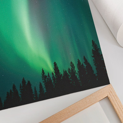 Zidni plakat Aurora zeleno drveće noć čarobna priroda