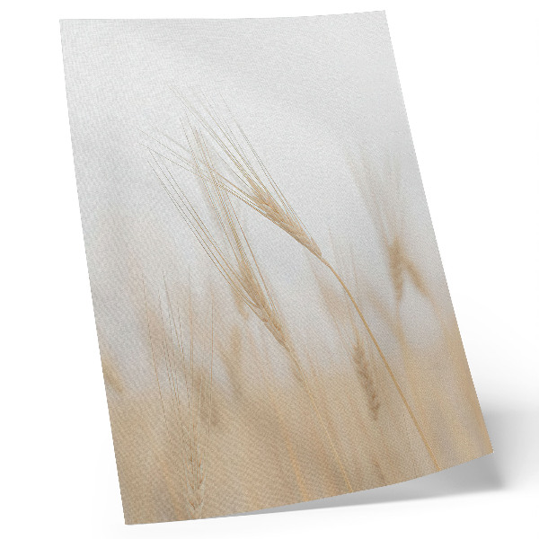 Plakat Minimalistička elegancija klasja žita