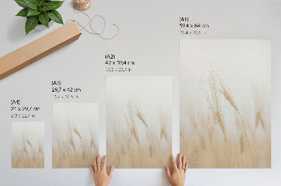 Plakat Minimalistička elegancija klasja žita