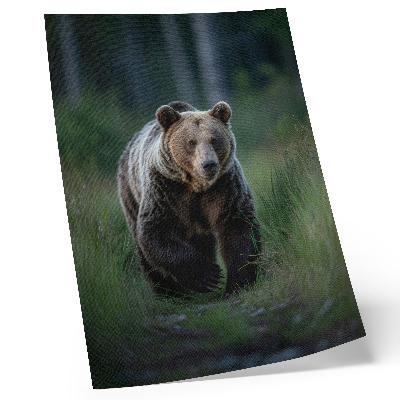 Plakat Ponosni medvjed u šumskom okruženju