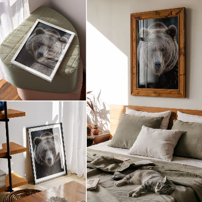 Plakat Realističan portret medvjeda, mirnog i snažnog