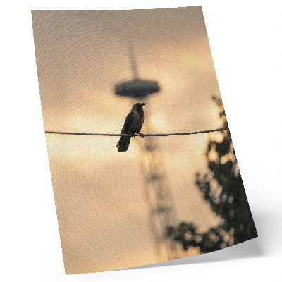 Tisak na platno Ptica na žici, večernje nebo, nježna pozadina